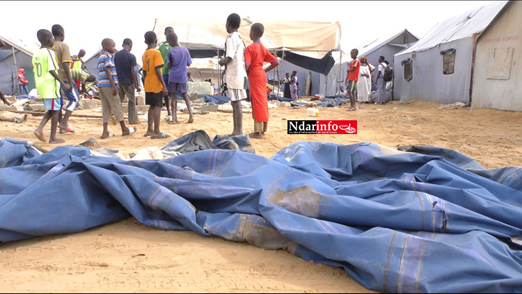 ​KHAR YALLA : le déménagement vers Djougob a démarré (photos)