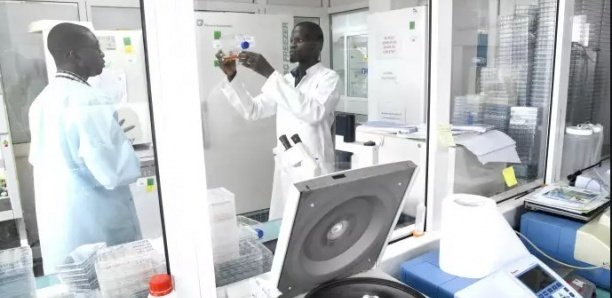 Touba : l'épouse de l'émigré atteinte du coronavirus