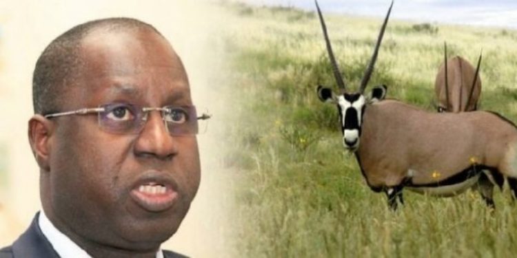 Restitution des Oryx : Abdou Karim Sall parle de « pure manœuvre »