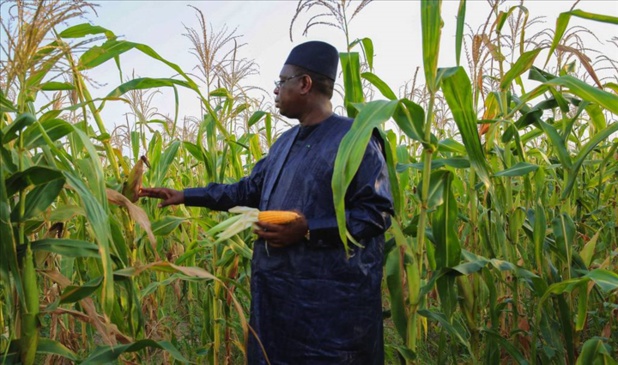 Agriculture : Macky Sall promet de mieux équiper le monde rural