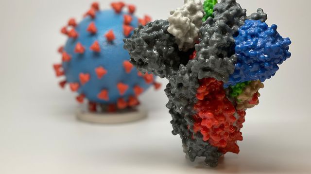 Covid-19 : la nouvelle souche qui touche l’Angleterre inquiète les épidémiologistes