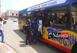 Saint-Louis : Les Transporteurs prennent en otage des bus de la Commune.