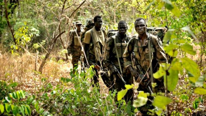 Casamance : Encore une attaque armée, entre Badiouré et Bignona