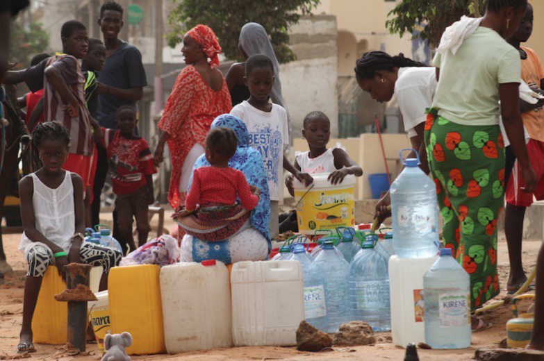 Mignane Diouf : Il y a ne marchandisation de l’eau qui assèche les populations