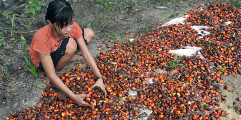 L'Indonésie suspend toutes ses exportations d'huile de palme