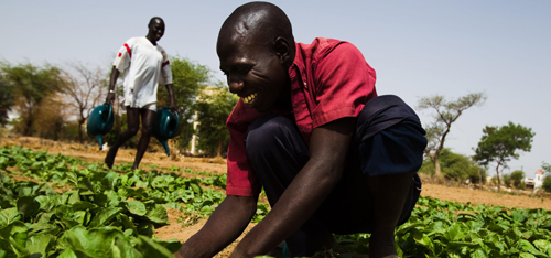 La Mauritanie annonce un soutien d'un milliard deux cents millions pour ses petits producteurs