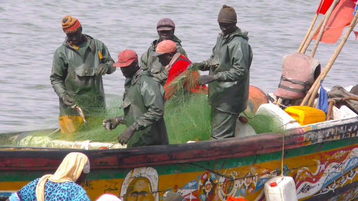 Emprise de BP sur "Diatara" : les pêcheurs de Saint-Louis étalent leurs souffrances ...