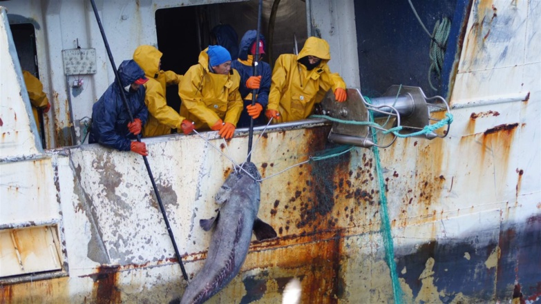 Lutte contre la Pêche illicite : un " carton jaune " adressé au régime de Macky SALL