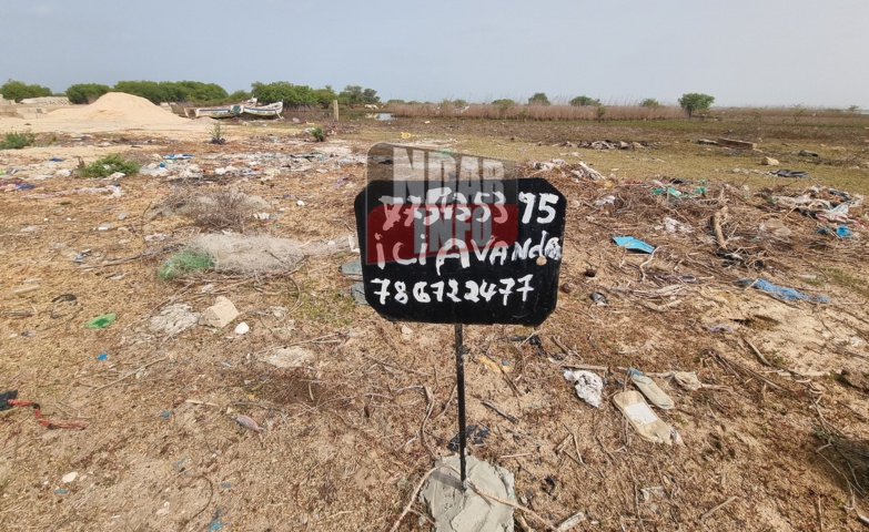 Gandiol - ​Bountou Ndour : la boulimie foncière n'apargne pas le lit fleuve (photos)