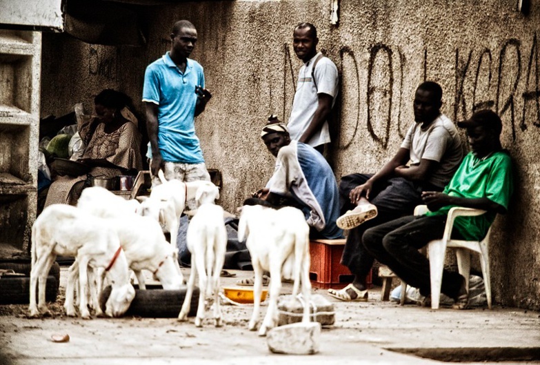 Au Sénégal, les chiffres alarmants du chômage