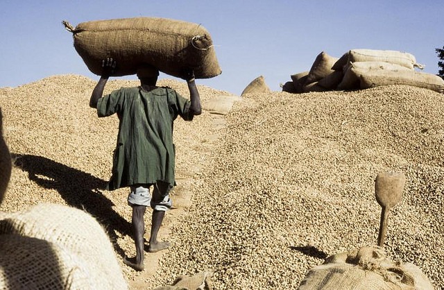 Campagne de commercialisation agricole : La Der/Fj et le ministère de l’agriculture signe un partenariat