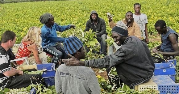 Recrutement d’ouvriers agricoles en Espagne : Voici comment postuler