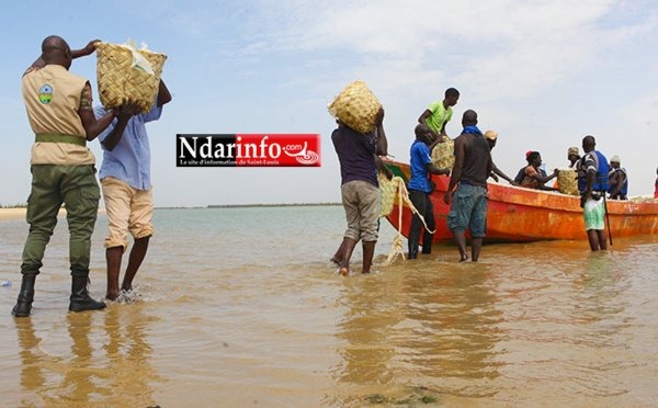 Conservation marine : Daouda Ngom annonce la mise en place de trois aires marines hauturières protégées d’ici à 2027