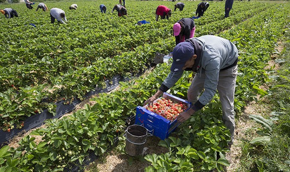 Les entretiens de sélection des 250 candidats retenus pour des emplois agricoles en Espagne, dans le cadre de l’accord d’émigration circulaire entre Dakar et Madrid, se sont achSélection des ouvriers agricoles en Espagne | Les entretiens bouclés hier