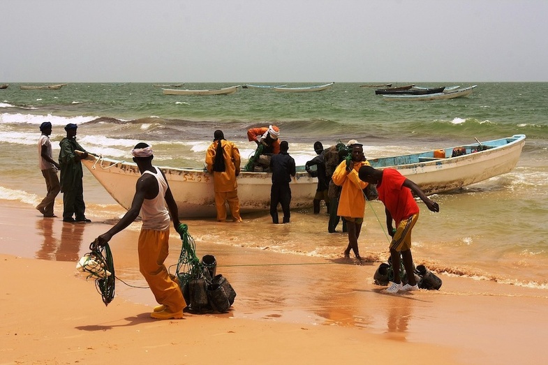 Fuite de Gaz sur le GTA : Note d'alerte de la Coordination Économique et Sociale du Village de N'DIAGO | Communiqué