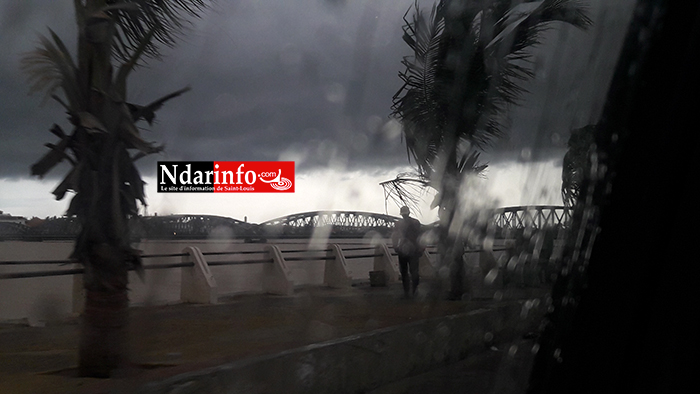 Tempête à Saint-Louis : Un mort à Cité Niakh.