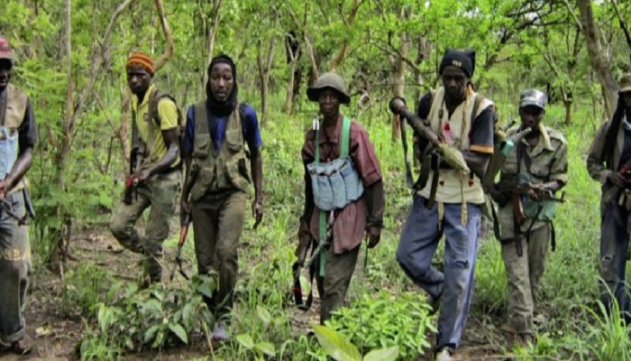 Casamance : libération de deux prisonniers du MFDC par l’armée