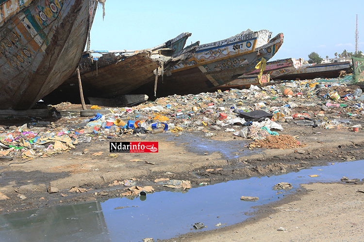 ​Saint-Louis - Berges sales : la catastrophe à Goxu Mbacc (Photos)