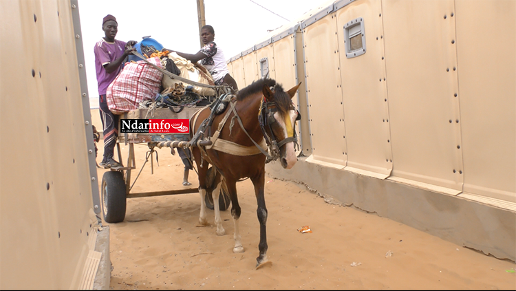 ​KHAR YALLA : le déménagement vers Djougob a démarré (photos)