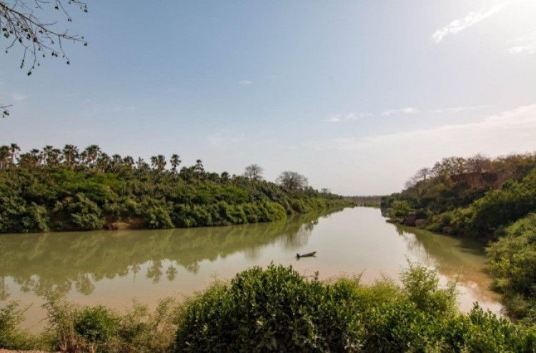 Bassin du Fleuve Sénégal : une étude lancée pour dynamiser la coopération transfrontalière