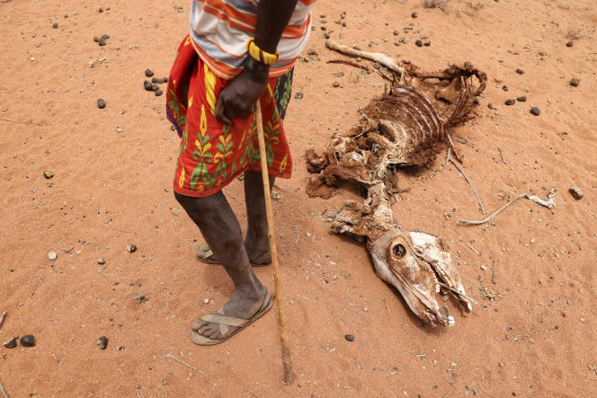 ONU : 1,39 milliard de dollars pour aider la Corne de l'Afrique à lutter contre la famine