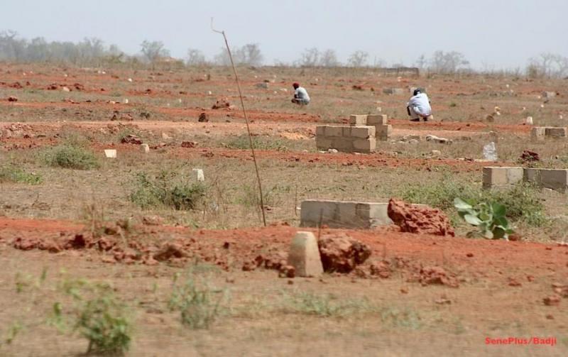 La longue liste des hommes à hectares