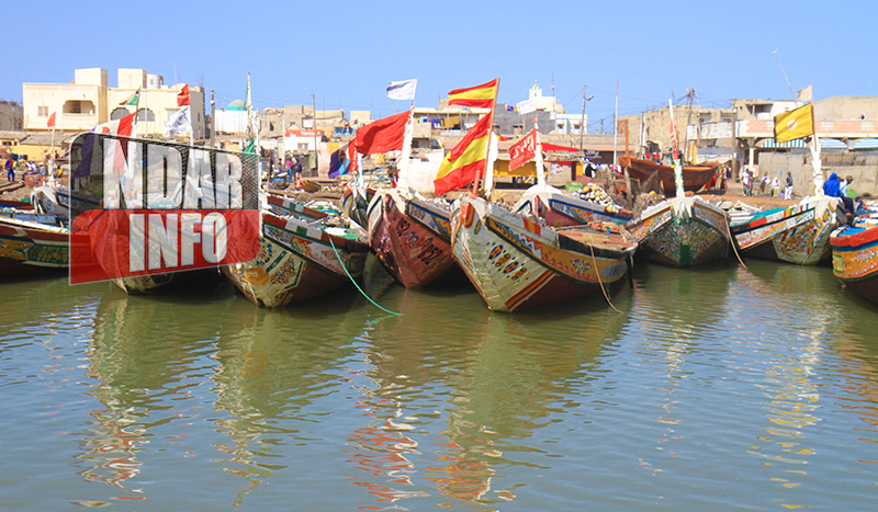 Sénégal : de nouvelles mesures de surveillance des activités de pêche annoncées