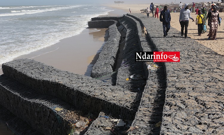 Saint-Louis : Vers l'audit des programmes de lutte contre l'avancée de la mer