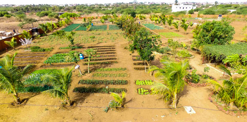 Mbane : 38 producteurs seront formés sur la gestion des fermes agroécologiques