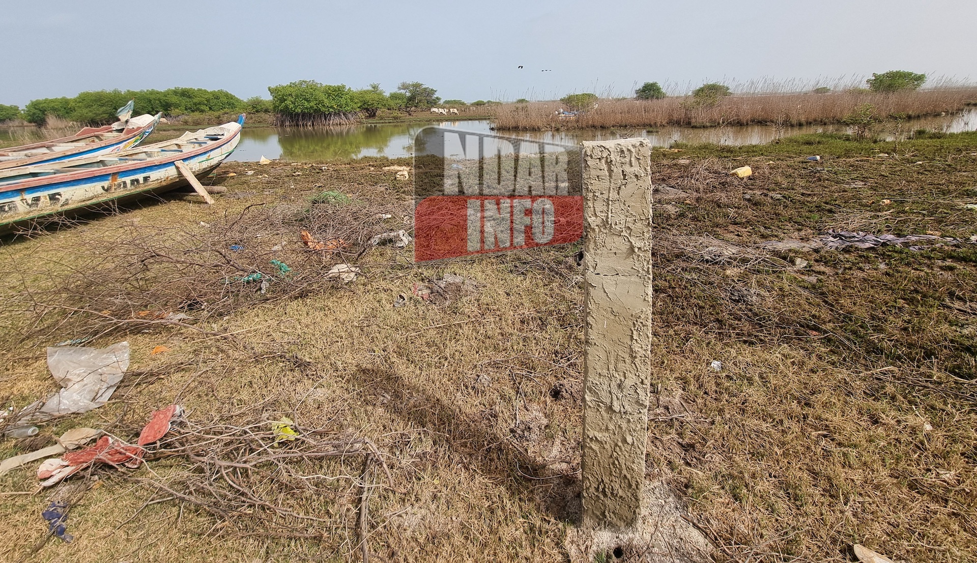 Gandiol - ​Bountou Ndour : la boulimie foncière n'apargne pas le lit fleuve (photos)