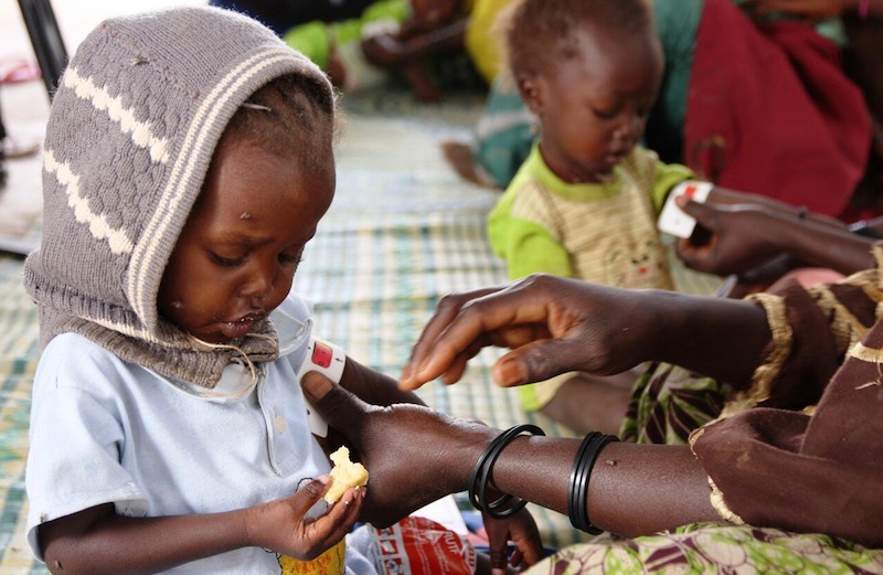 Malnutrition dans la région de Saint-Louis : le département de Podor est le plus affecté