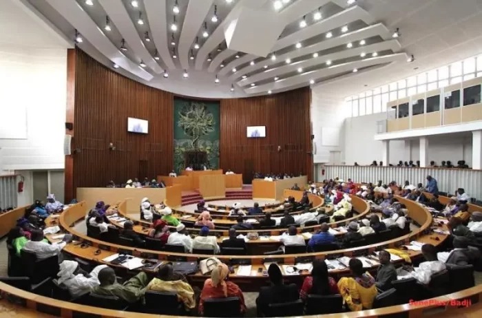 L’Assemblée nationale autorise le chef de l’État à ratifier la convention de l’UA sur la coopération transfrontalière