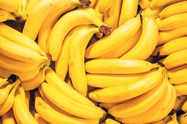 L’ISRA annonce l'introduction d'une nouvelle variété de banane à Tambacounda