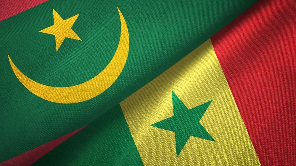 COOPÉRATION / Serigne Guèye Diop évoque les « grands enjeux de développement » pour le Sénégal et la Mauritanie