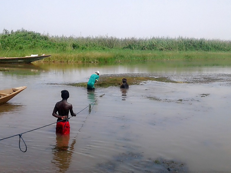 Débordement du fleuve Sénégal : à Bango, des périmètres maraichers inondés