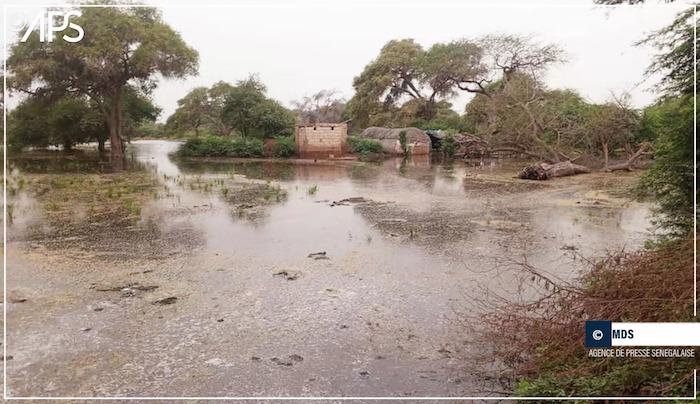 Débordements du fleuve Sénégal : le gouverneur de Saint-Louis au chevet des populations impactées