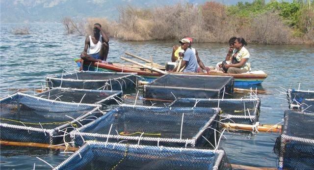 Le Sénégal adopte un plan triennal pour l’aquaculture