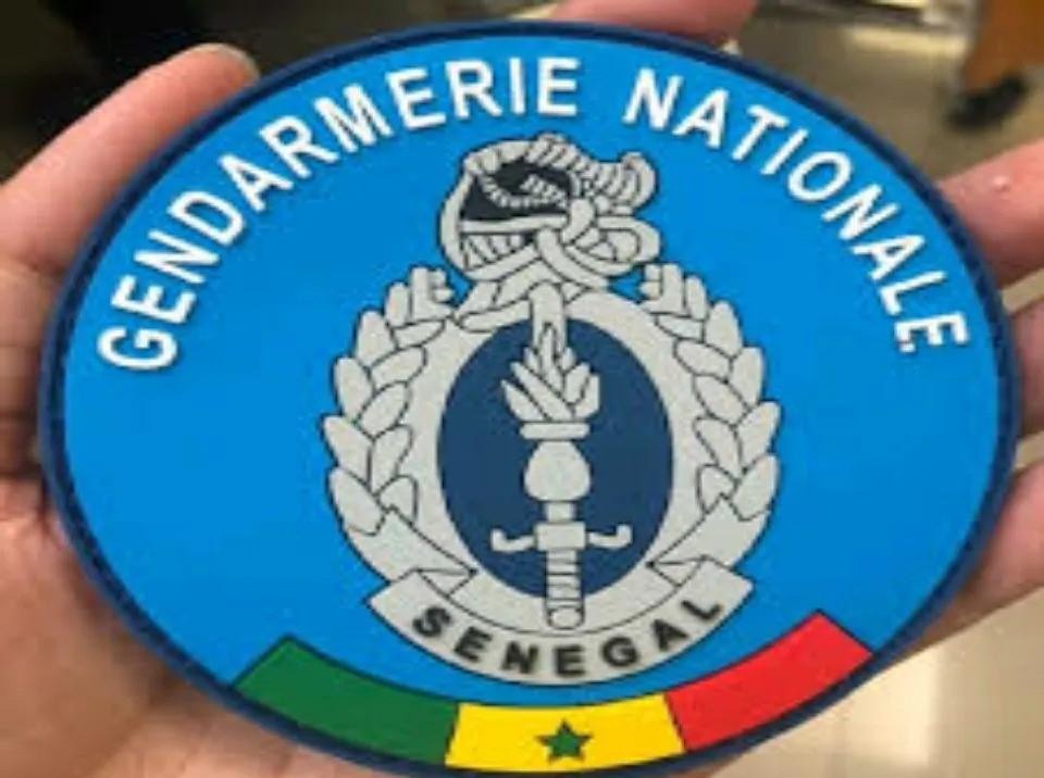 Affaire West african Energy : Ces noms dans le viseur des gendarmes