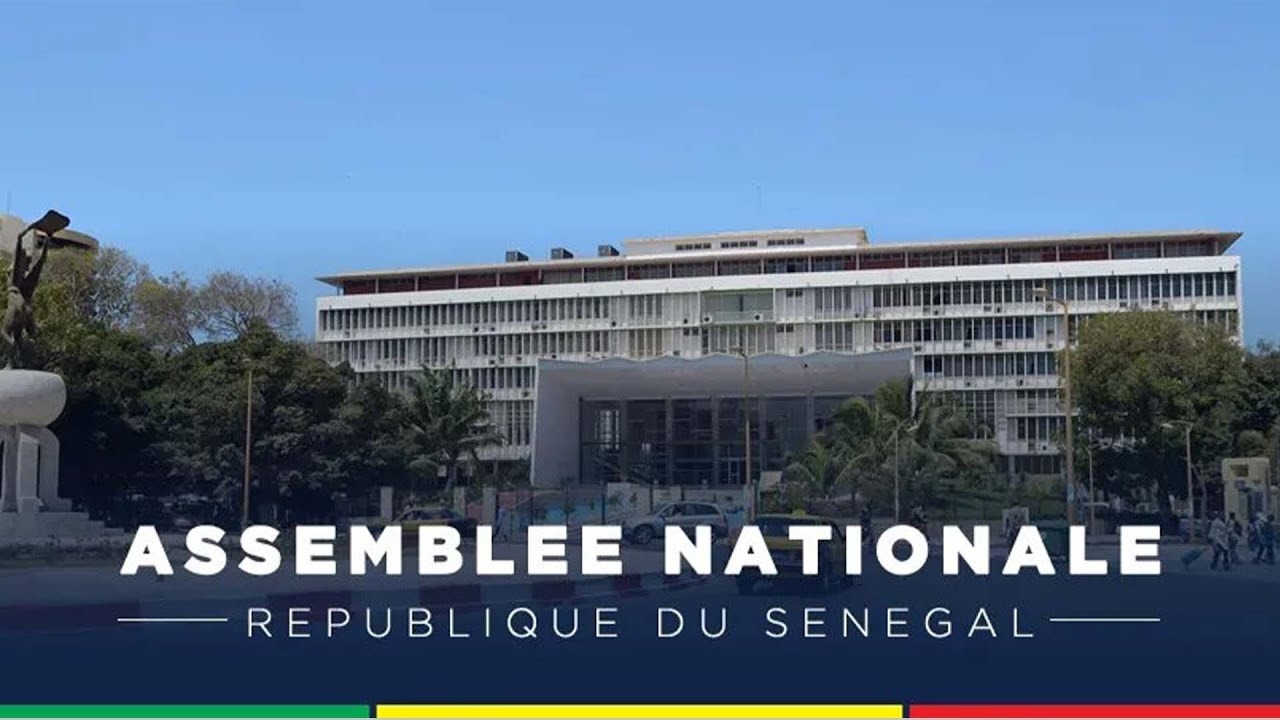 Assemblée nationale : la date de la première session sera fixée par décret (Président)