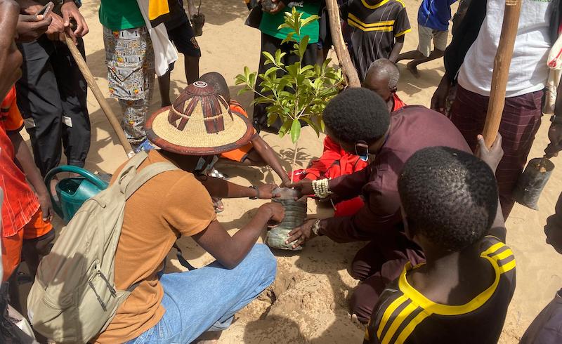 Bop Thior : le Collectif UGB Verte plante 126 arbres dont 84 fruitiers sur l’île