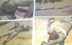 Photos| Les corps déterrés des tueries de Keur Samba Laobé( âmes Sensibles S'abstenir )