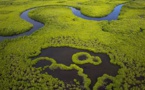 La Gambie et le Sénégal décident de s’unir pour préserver leur mangrove