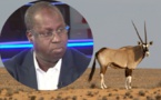 Affaire des 6 gazelles oryx : Le Pds porte plainte contre Abdou Karim Sall