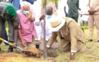 Célébration de la journée nationale de l’arbre à Diamniadio : La leçon de Macky à Abdou Karim Sall