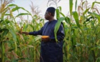 Agriculture : Macky Sall promet de mieux équiper le monde rural