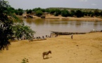 Fleuve Sénégal : une légère remontée des eaux à Bakel