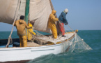 Exclusif: La Mauritanie accorde 40.000 tonnes par an et autorise 300 embarcations sénégalaises.