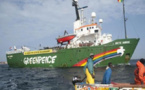 Pillage des eaux en Afrique de l'Ouest : Greenpeace intercepte un navire-citerne transportant de l'huile de poisson