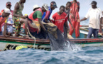 Des pêcheurs sénégalais kidnappent 4 marins bissau-guinéens