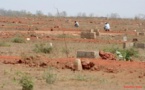 La longue liste des hommes à hectares